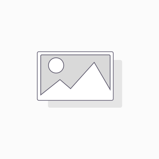 [QDD0001] 1 5/8"(40MM), Conway-Schnallen&Plattenschnallen, Edelstahl, QDD0001